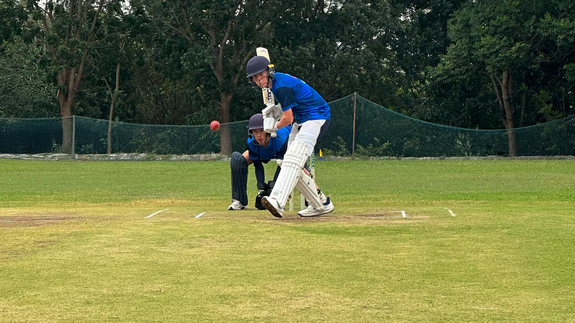 Cricket Fielding Tips to Boost Speed and Accuracy on the Field