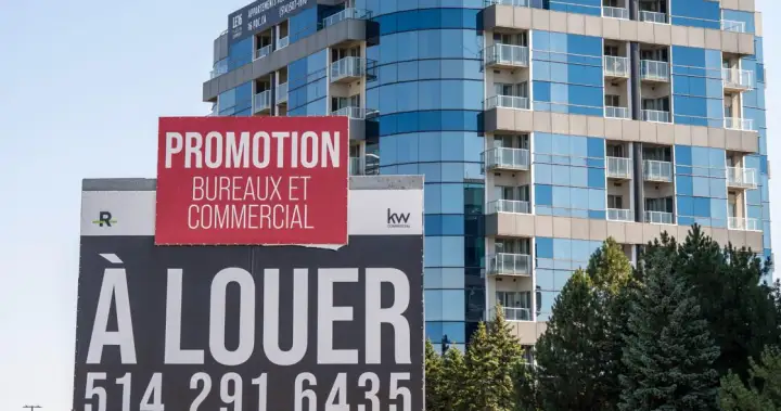 1 in 5 landlords offering incentives as rental vacancies rise in Canada – National