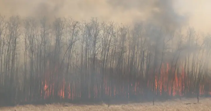 Wildfire Act-related charges laid following blaze northeast of Regina
