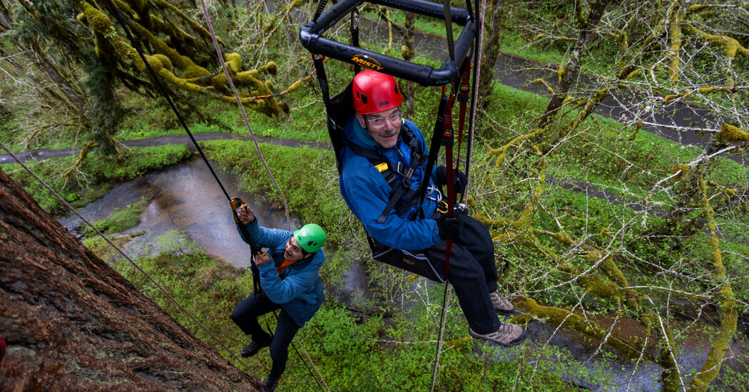 For Disabled Travelers in Search of Adventure, Adrenaline-Fueled Options Are Growing