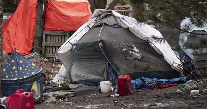 ‘A human being cannot exist nowhere’: Judge blocks eviction of Montreal encampment – Montreal