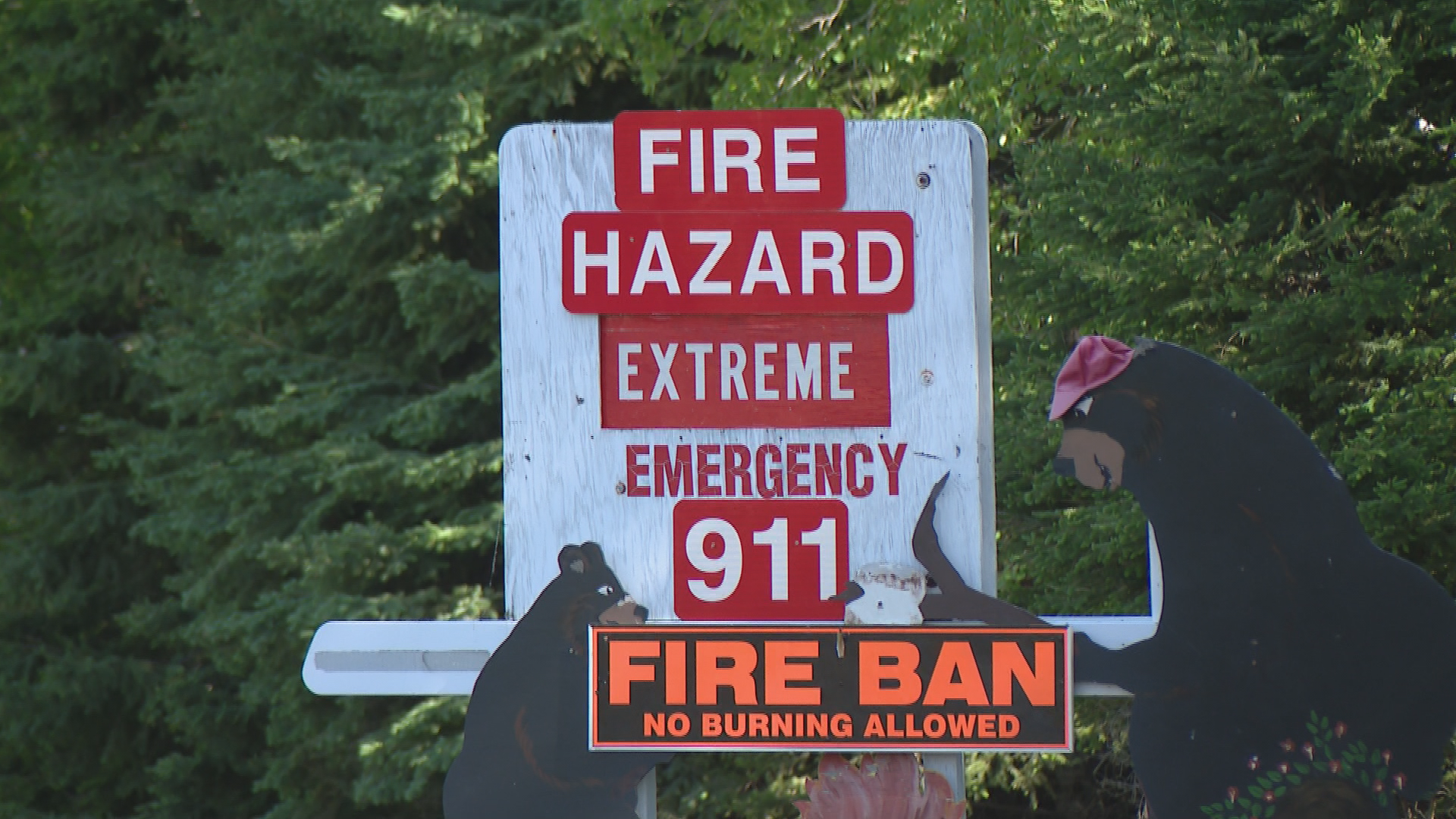 ‘Drop in the bucket’: Sask. wildfire protection grant not enough, says fire chief