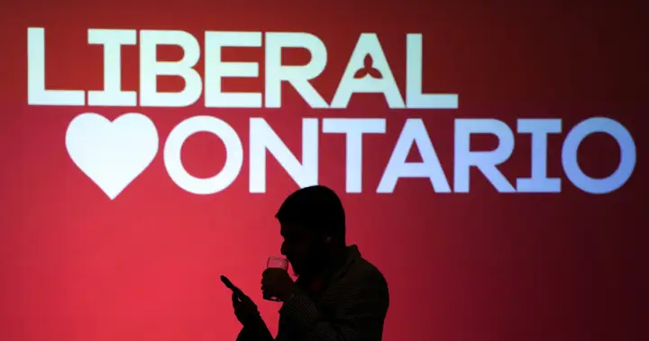 Former Wynne, Trudeau staffer hopes policy chops can win Ontario Liberal leadership race