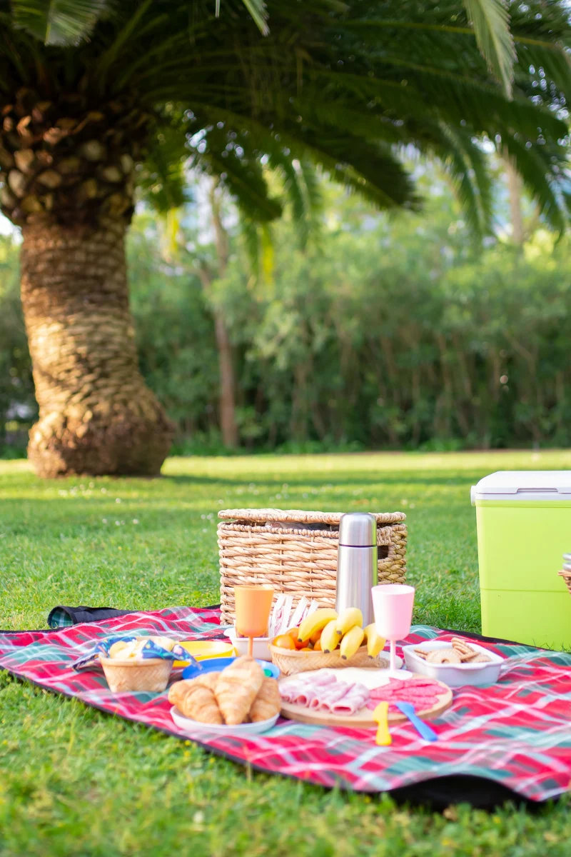The Picnic Edit: Blankets, Baskets, Portable Dishware