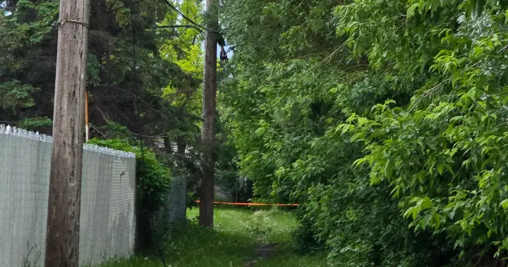 Manitoba Hydro making ‘significant progress’ restoring power after storm – Winnipeg