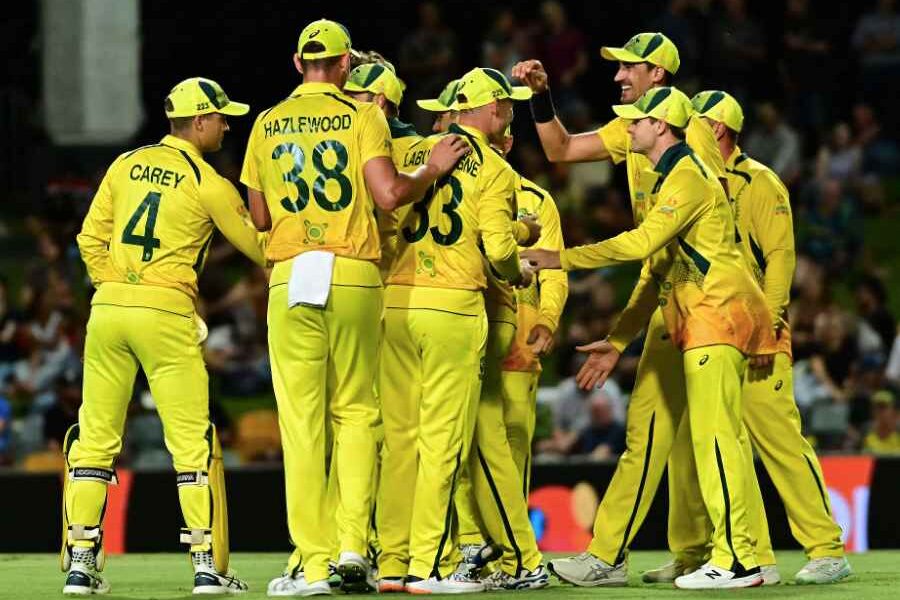 IPL 2026: Hazlewood and Cummins Out — What It Means for RCB, SRH and Australia – Cricket Blog