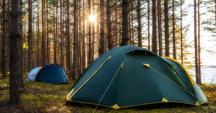 The Curator: 12 essential tips for first-time campers