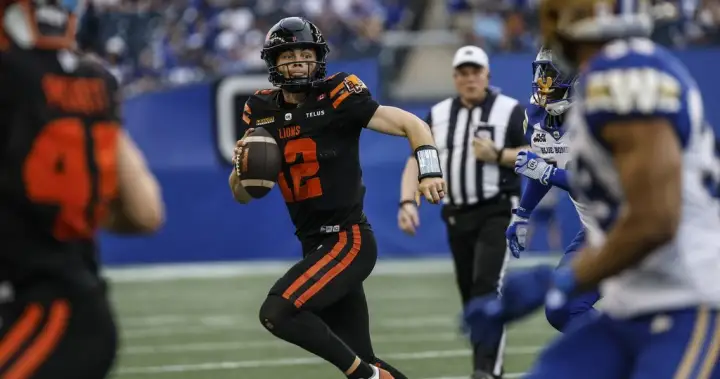 Lions look to build on foundation laid last year