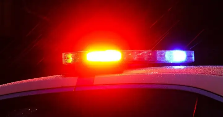 1 person dead after being hit by vehicle during fight in Toronto: police – Toronto