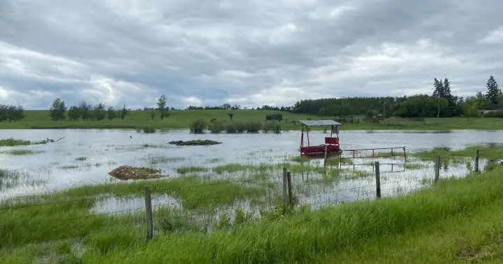 Flooded Alberta farmland raises concerns about crop losses