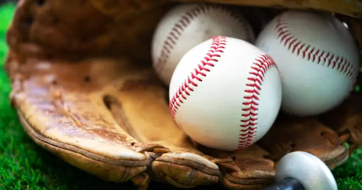 12-year-old boy in critical condition after being hit with baseball: reports – National