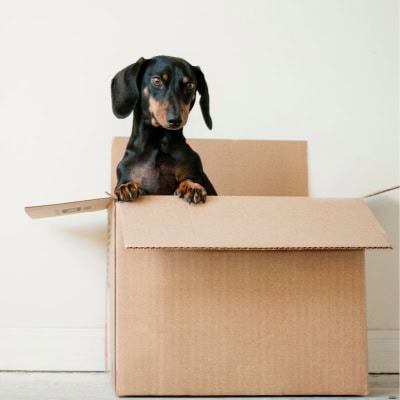 Tips for Packing for a Move